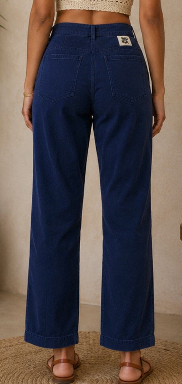 Lucy & Yak Organic Cotton Straight Leg Ankle Pants Blue High Rise Women 26/30
